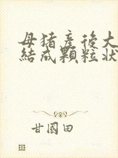 母猪产后大便干结成颗粒状怎么办