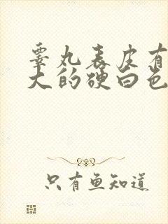 睾丸表皮有米粒大的硬白色小痘痘