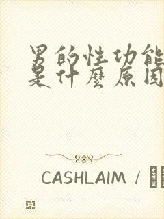 男的性功能不行是什么原因