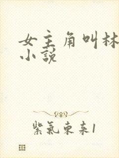 女主角叫林惜的小说