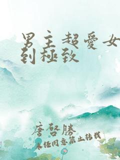 男主超爱女主爱到极致