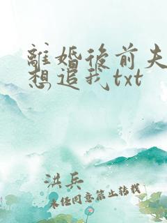 离婚后前夫总是想追我txt