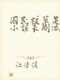 国民校草是女生小说未删减版