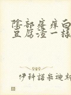 阴部瘙痒白带像豆腐渣一样