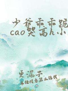 少爷乖乖跪趴被cao哭高h小说