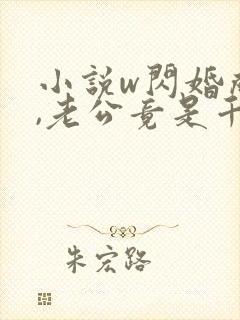 小说w闪婚成宠,老公竟是千亿大佬》