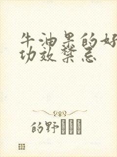 牛油果的好处和功效禁忌