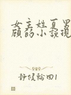 女主姓夏男主姓顾的小说现代言情