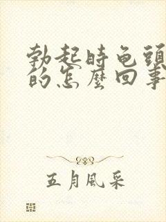 勃起时龟头是软的怎么回事