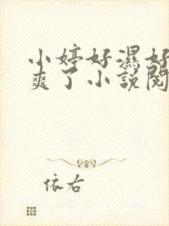 小婷好湿好紧太爽了小说阅读