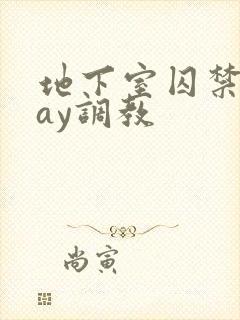 地下室囚禁play调教