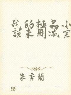 我的极品小姨小说未删减完整版