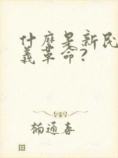 什么是新民主主义革命?