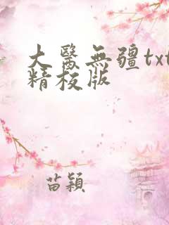 大医无疆txt精校版