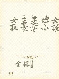 女主是婢女被强取豪夺小说