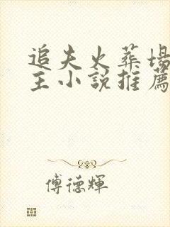 追夫火葬场双男主小说推荐