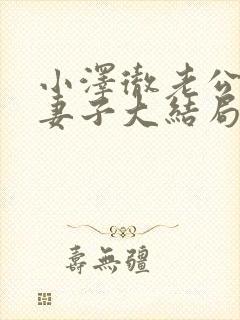 小泽彻老公原谅妻子大结局