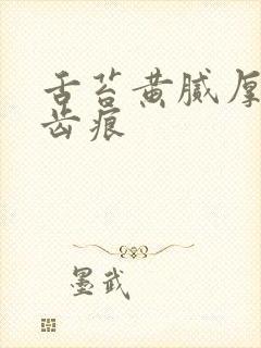 舌苔黄腻厚白有齿痕