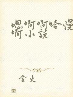 嗯啊啊哈慢一点啊小说