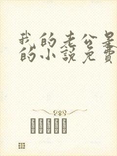 我的老公是冥王的小说免费阅读