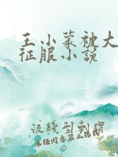 王小蒙被大肉楱征服小说