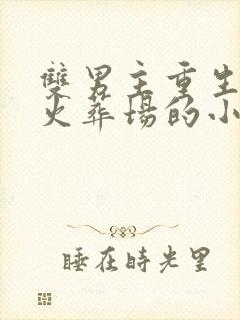 双男主重生追夫火葬场的小说