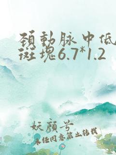 颈动脉中低回声斑块6.7*1.2