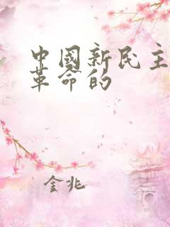 中国新民主主义革命的