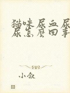 猫咪尿血尿频乱尿怎么回事啊