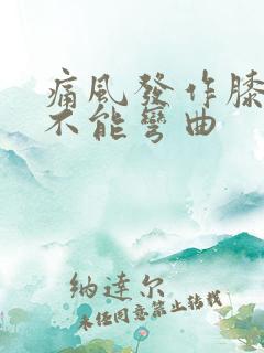 痛风发作膝盖肿不能弯曲