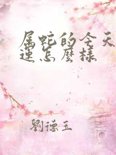 属蛇的今天的财运怎么样