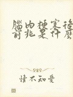 脑内梗塞后遗症前兆是什么