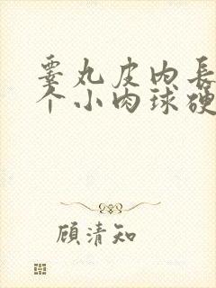 睾丸皮内长了一个小肉球硬硬的