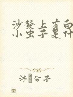 沙发上有白色的小虫子是什么虫