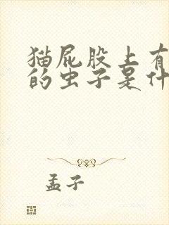 猫屁股上有白色的虫子是什么虫