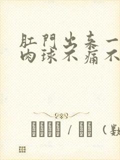 肛门出来一个小肉球不痛不痒的