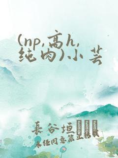 (np,高h,纯肉)小芸