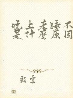 晚上老睡不着觉是什么原因