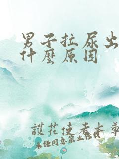 男子拉尿出血是什么原因