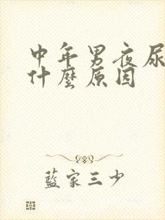 中年男夜尿多是什么原因