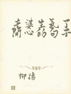 老婆生气了哄他开心的句子