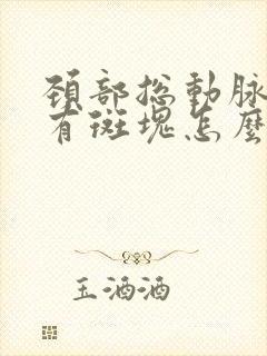 颈部总动脉分叉有斑块怎么办啊