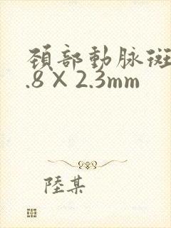 颈部动脉斑块7.8×2.3mm