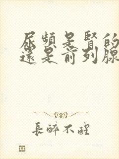 尿频是肾的原因还是前列腺