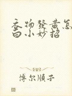 衣物发黄怎么洗白小妙招