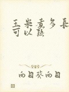 玉米煮多长时间可以熟