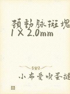 颈动脉斑块4.1×2.0mm