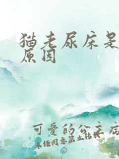 猫老尿床是什么原因