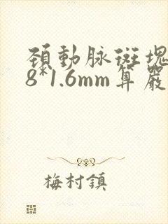 颈动脉斑块4.8*1.6mm算严重吗