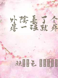 外阴长了个硬疙瘩一碰就疼